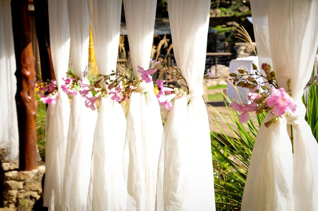 Propuestas, detalles y colores